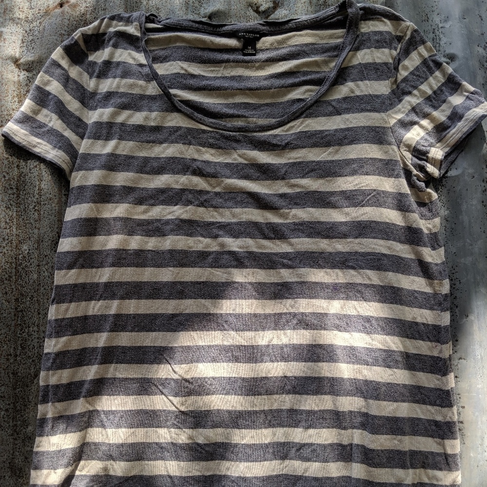 Ann Taylor Tee Shirt